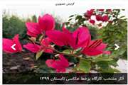 برگزاری نمایشگاه آثار منتخب اعضا  از هفته‌ی ملی کودک 