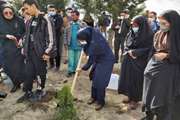  مرغک کانون در ماهدشت کرج صاحب یک درخت شد 