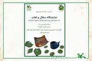 نمایشگاه آثار سفال و لعاب  اعضای مرکز مجتمع کانون کرج  