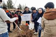 سفیران سبز کانون البرز در روز درختکاری 